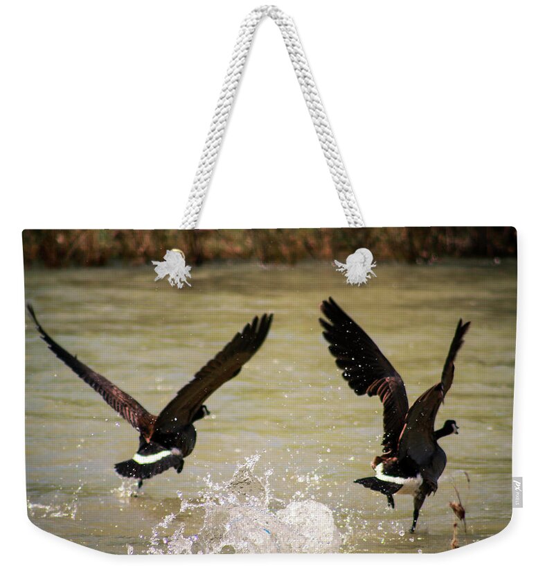Canadian Geese Weekender Tote Bag featuring the photograph Canadian Geese by Dr Janine Williams