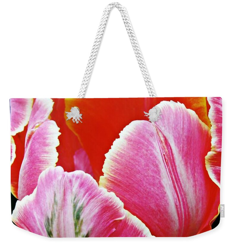 Tulip Weekender Tote Bag featuring the photograph Candy Pink Tulip by Sarah Loft
