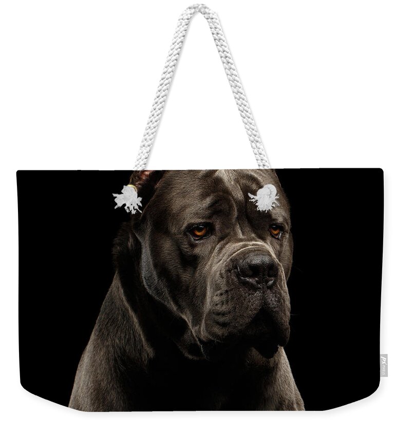 Cane Weekender Tote Bag featuring the photograph Cane Corso by Sergey Taran