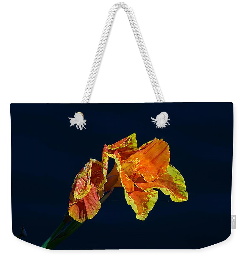 Nature Weekender Tote Bag featuring the photograph Canna by Kenneth Albin