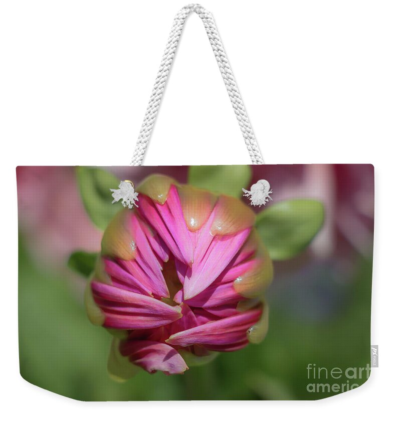 Cannot Rush Perfection Weekender Tote Bag featuring the photograph Cannot Rush Perfection by Elizabeth Dow