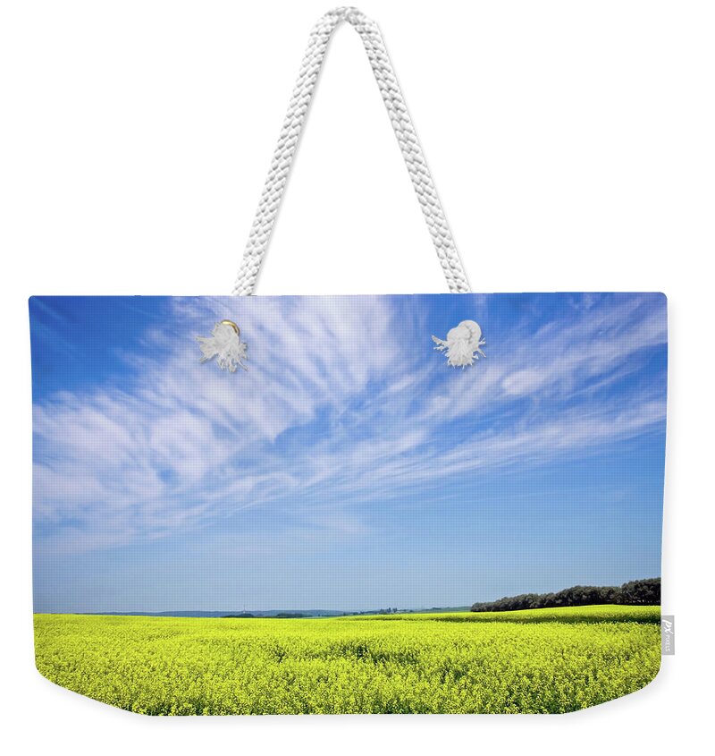 Prairie Weekender Tote Bag featuring the photograph Canola Blue by Keith Armstrong