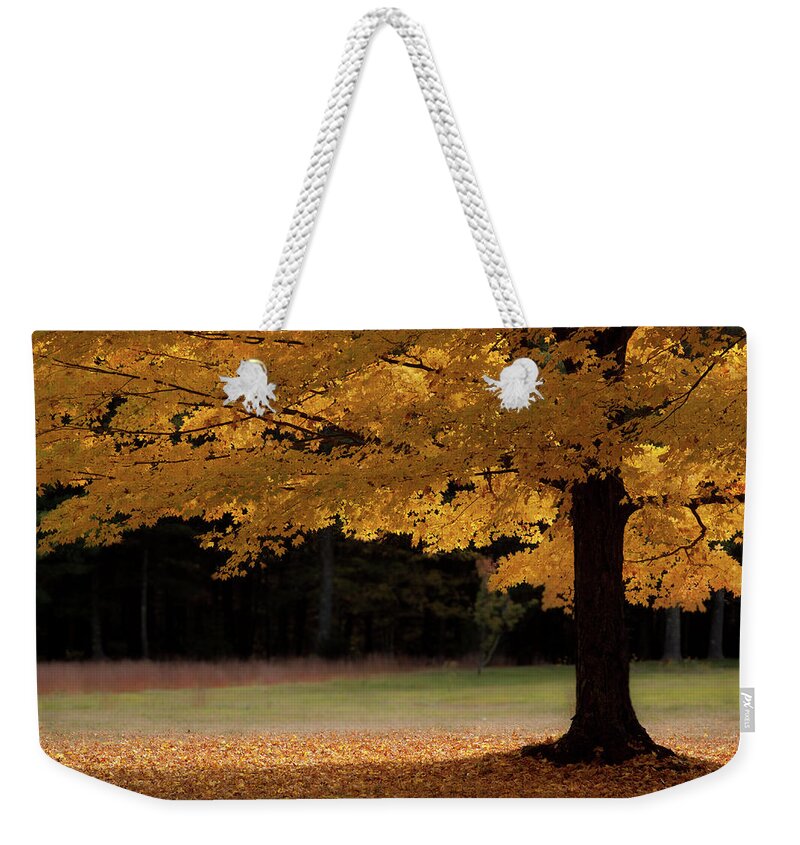 Yellow Maple Tree Weekender Tote Bag featuring the photograph Canopy of Autumn Gold by Jeff Folger