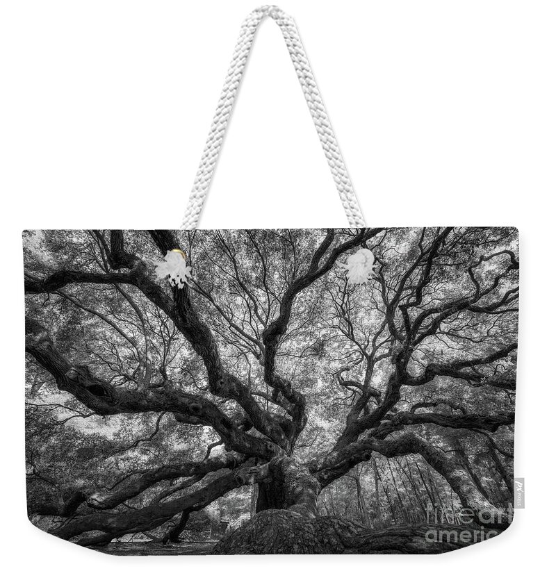 Angel Oak Tree Weekender Tote Bag featuring the photograph Canopy of Color in BW by Michael Ver Sprill