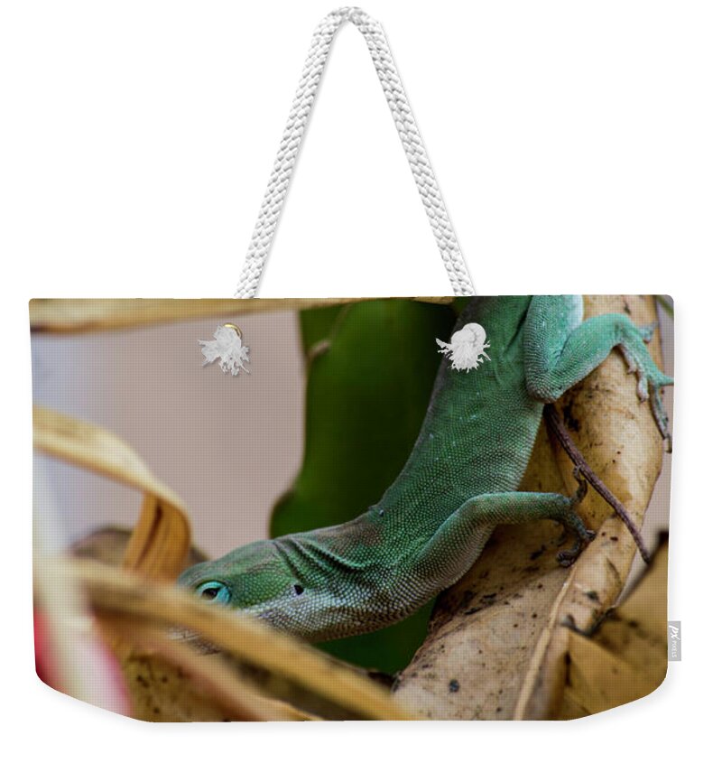Otp Weekender Tote Bag featuring the photograph Can't See Me by Marshall Barth