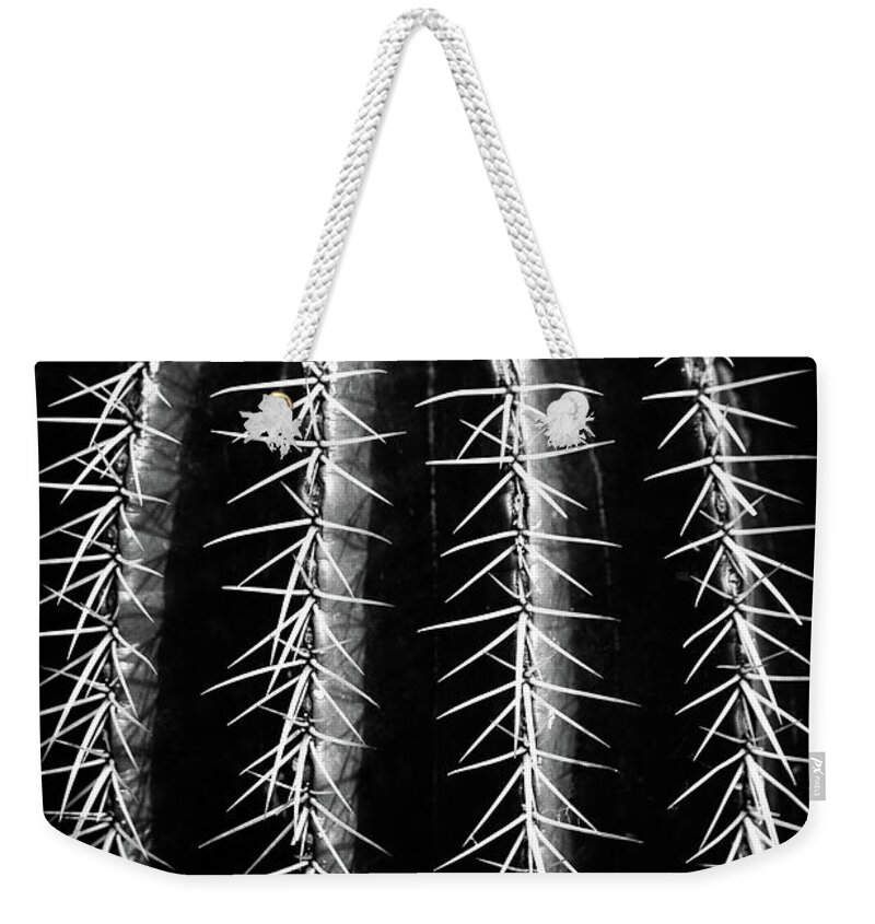 Cactus Weekender Tote Bag featuring the photograph Can't Touch This by Dorit Fuhg