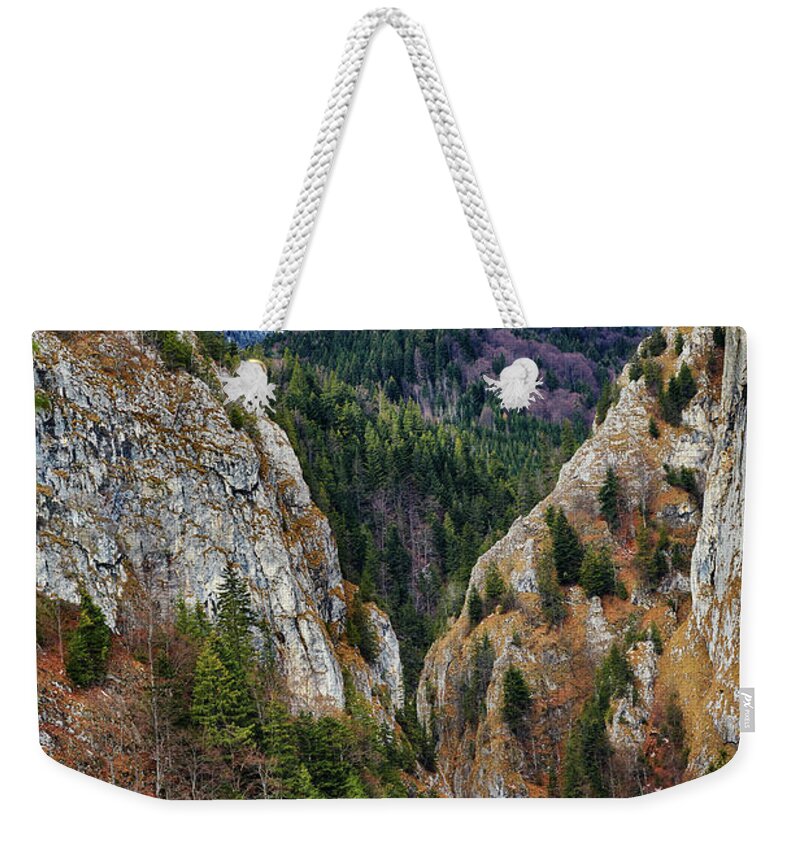 Alpine Weekender Tote Bag featuring the photograph Canyon and mountain range by Ragnar Lothbrok