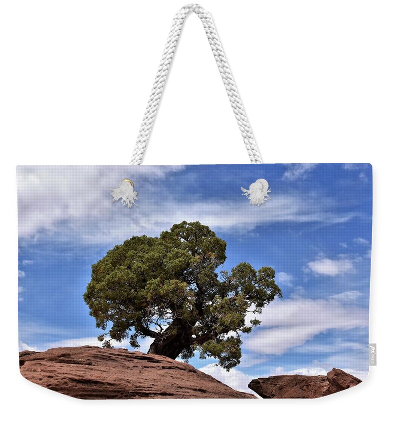 Canyonlands National Park Weekender Tote Bag featuring the photograph Canyonlands Tree by Flo McKinley