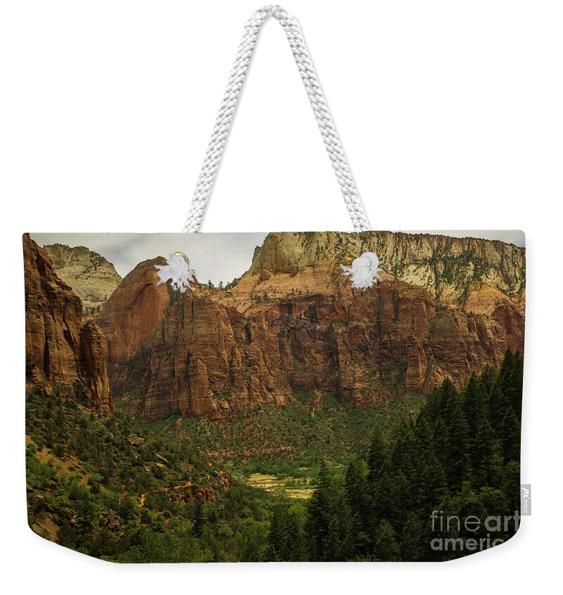 Zion National Park Weekender Tote Bag featuring the photograph Canyons in Zion by George Kenhan