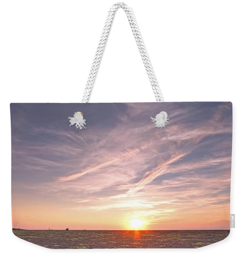 Jellyfish Weekender Tote Bag featuring the photograph Cape Cod Jellyfish by Juergen Roth