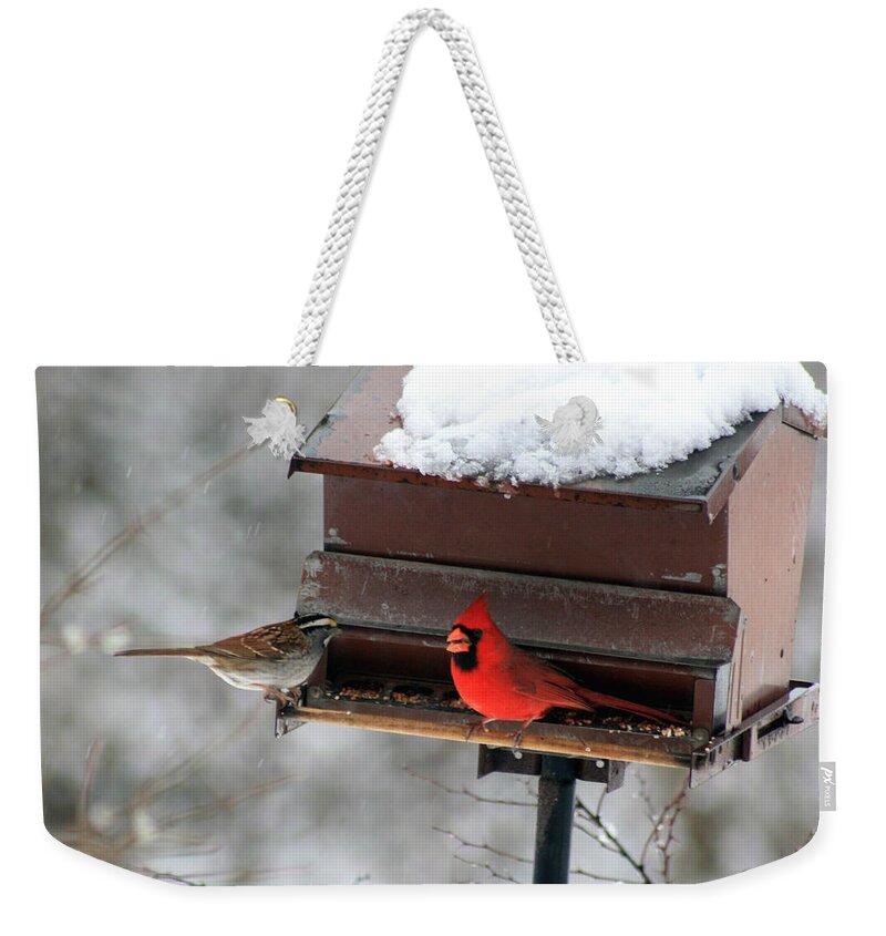 Cardinal Weekender Tote Bag featuring the photograph Cardinal and Sparrow at Feeder by George Jones