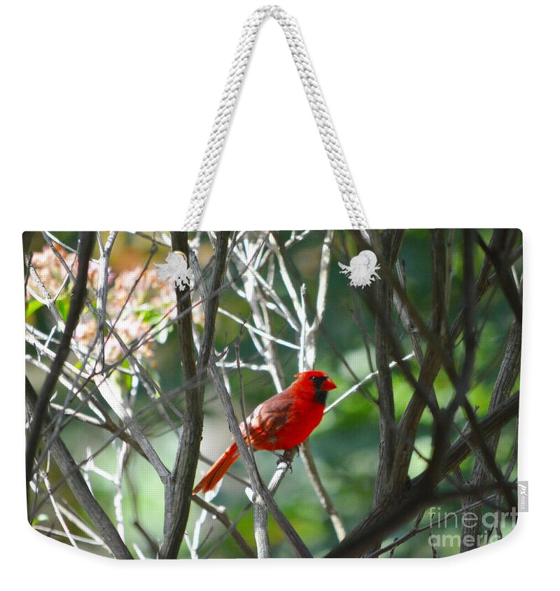 Birds Weekender Tote Bag featuring the photograph Cardinal by Dani McEvoy