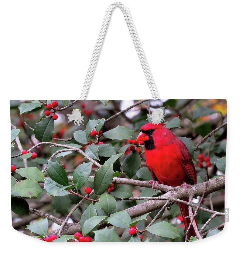 Male Cardinal Weekender Tote Bag featuring the photograph Cardinal in Holly Tree by Linda Stern