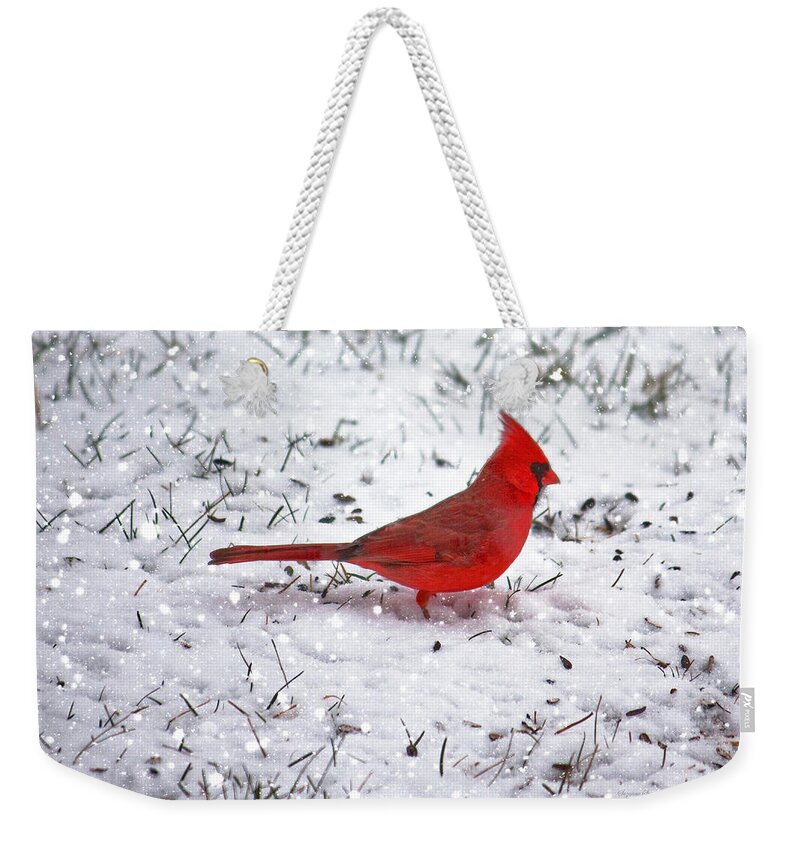 Bird Weekender Tote Bag featuring the photograph Cardinal in the snow by Suzanne Stout