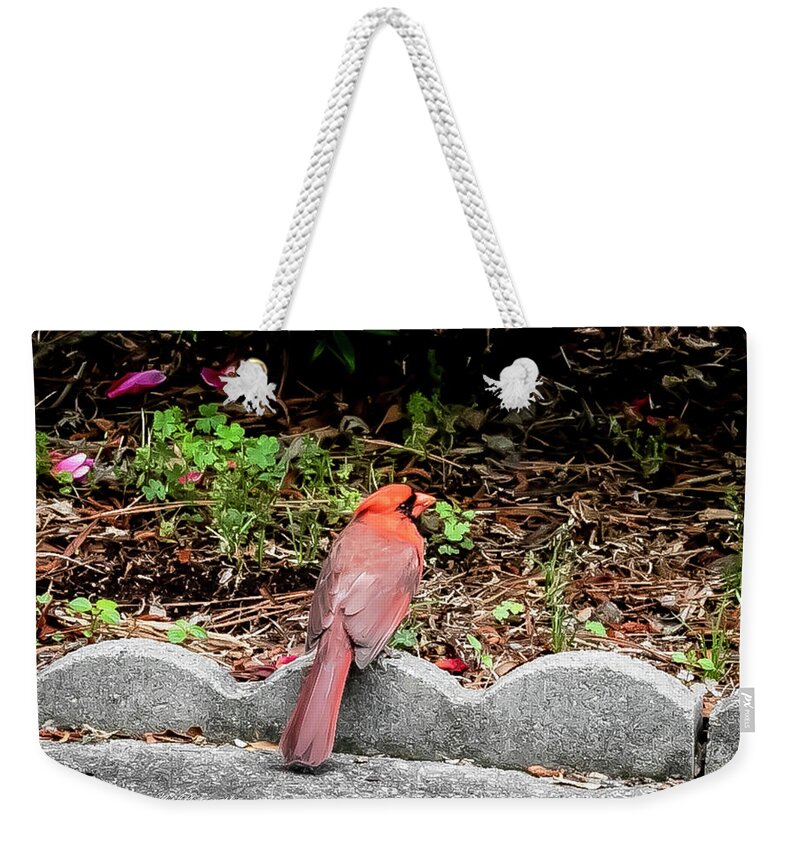Bird Weekender Tote Bag featuring the digital art Cardinal just hanging out by Ed Stines