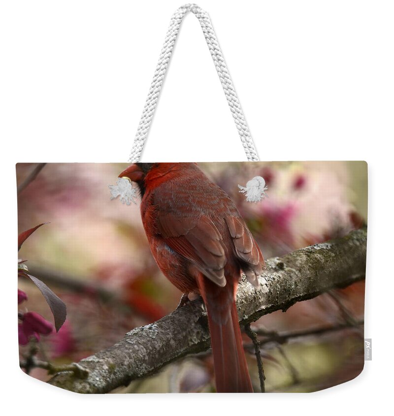 Animal Weekender Tote Bag featuring the photograph Cardinal on Blossoms by Ann Bridges
