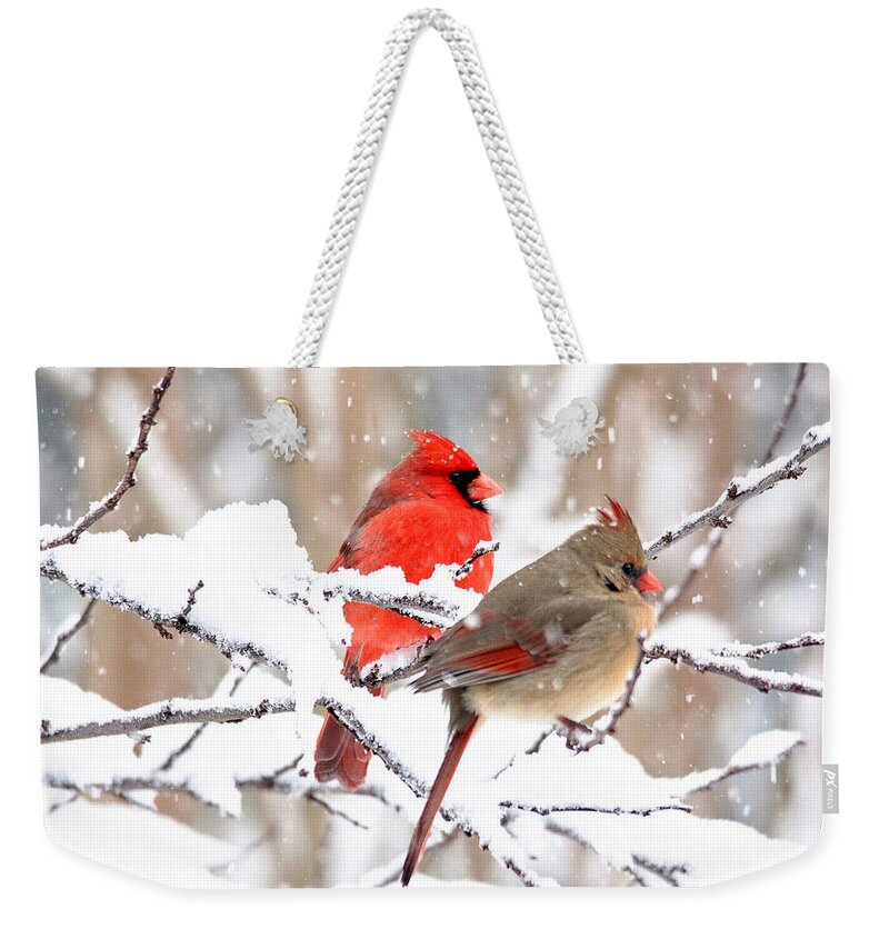 Birds Weekender Tote Bag featuring the photograph Cardinals in the Winter by Trina Ansel