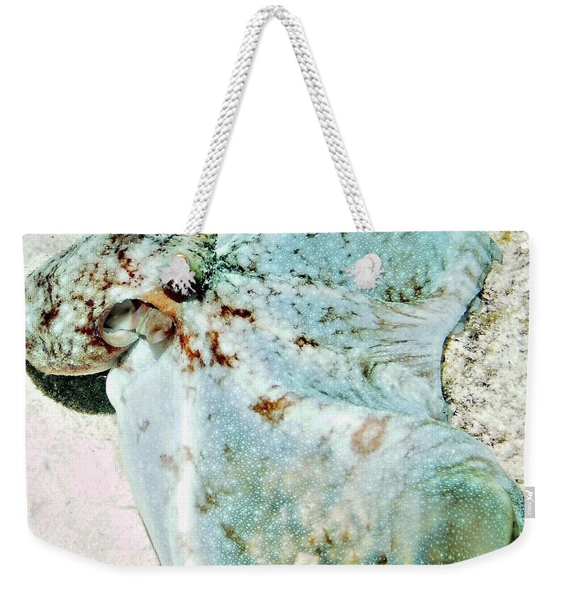 Ocean Weekender Tote Bag featuring the photograph Caribbean Reef Octopus - Eyes of the Deep by Amy McDaniel