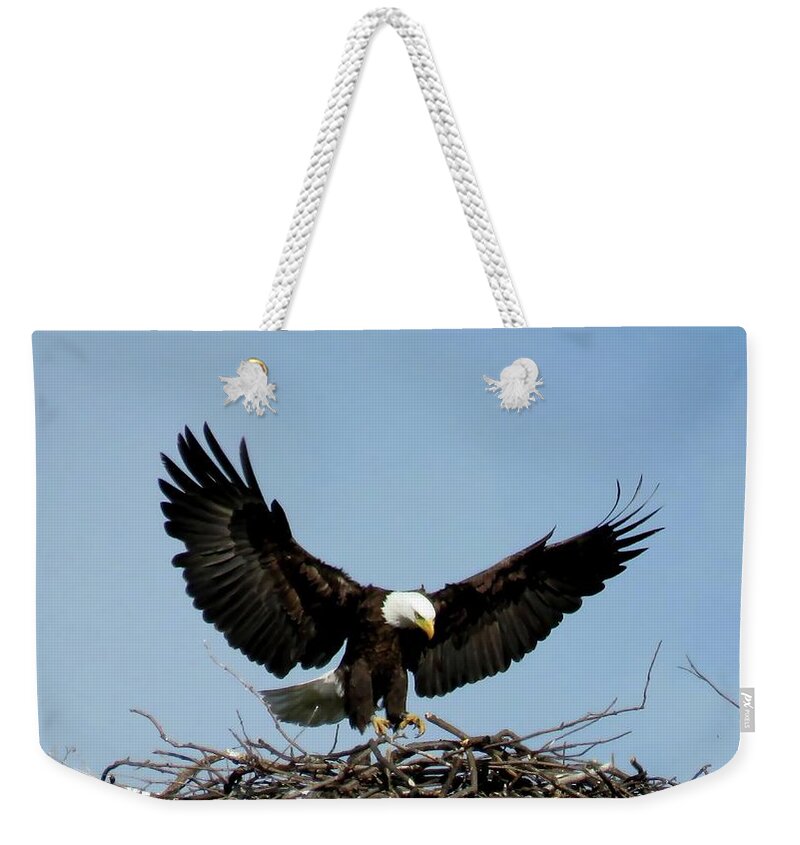 1000 Islands Weekender Tote Bag featuring the photograph Cape Vincent Eagle by Dennis McCarthy