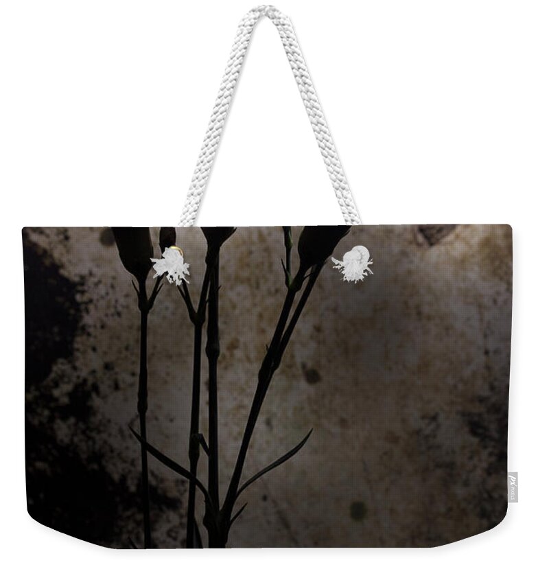 Carnations Weekender Tote Bag featuring the photograph Carnation Series 3 by Mike Eingle