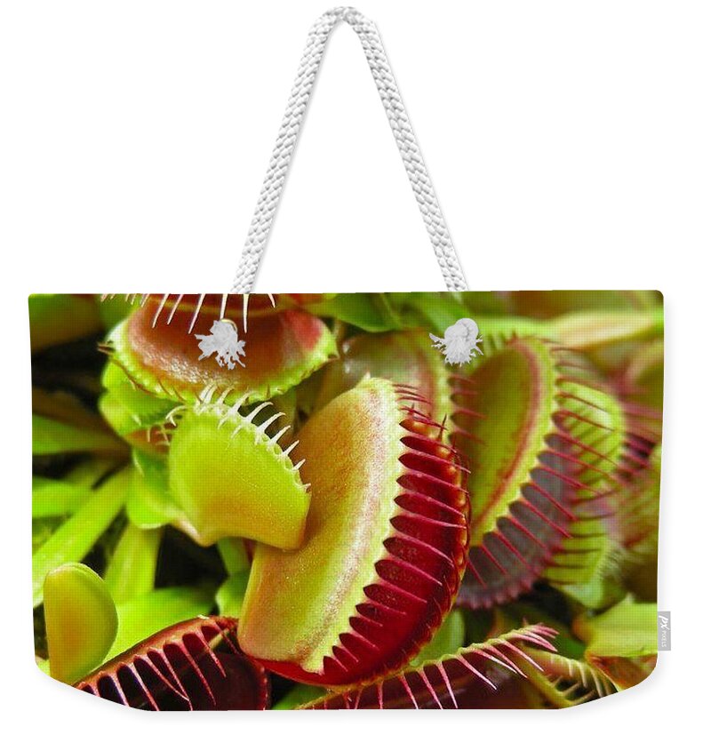 Nature Weekender Tote Bag featuring the photograph Carnivores by Hoang Bui