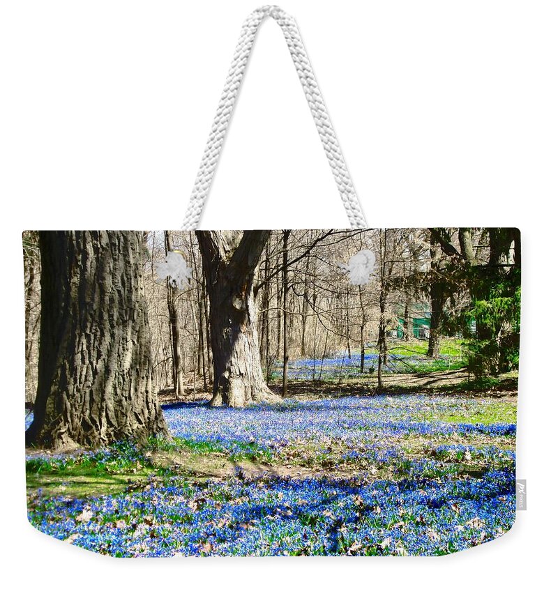 Flowers Weekender Tote Bag featuring the photograph Carpet of Blue by Stephanie Moore