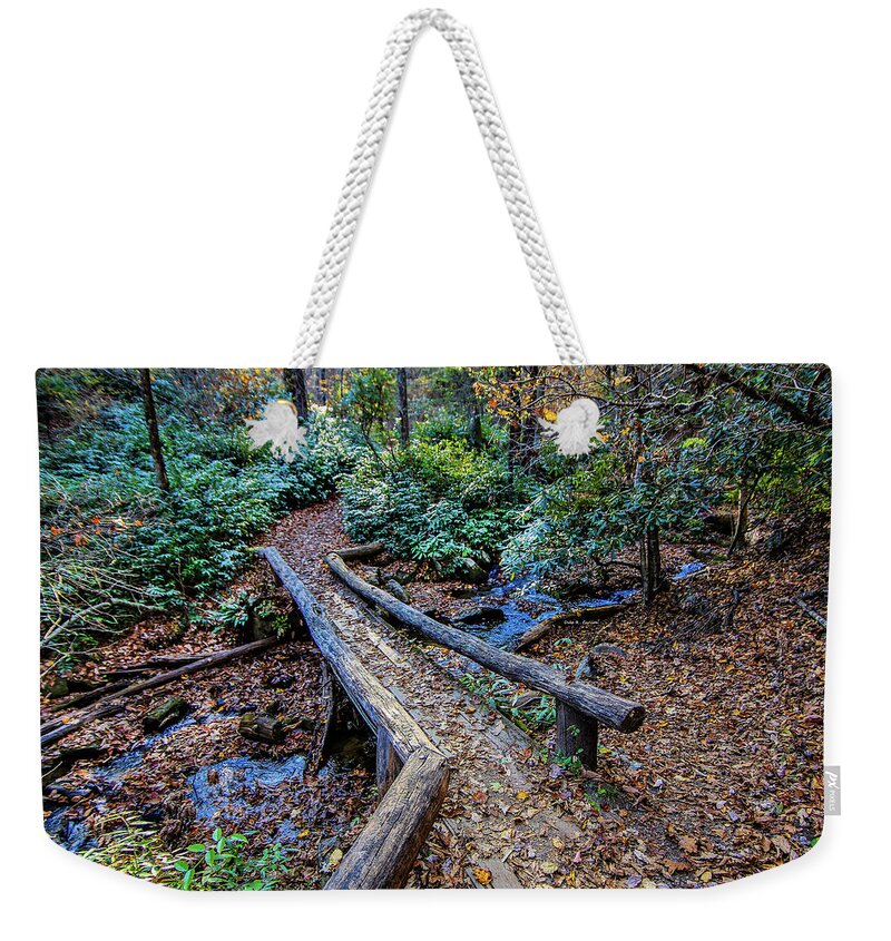 Blue Ridge Mountains Weekender Tote Bag featuring the photograph Carpet of Leaves by Dale R Carlson