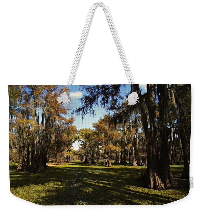 Autumn Weekender Tote Bag featuring the photograph Carters Chute by Lana Trussell