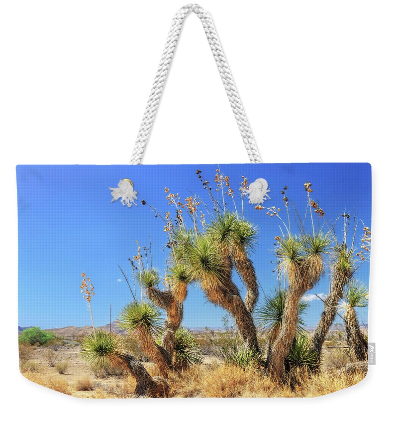 Big Bend National Park Weekender Tote Bag featuring the photograph Cast of Desert Characters by Sylvia J Zarco