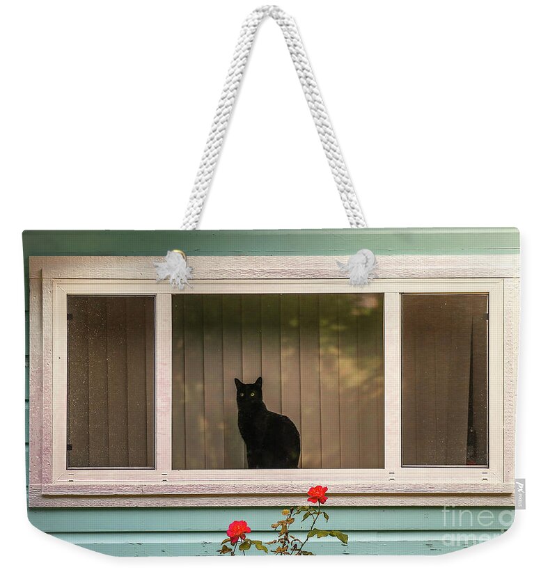 Animal Weekender Tote Bag featuring the photograph Cat In The Window by Robert Frederick
