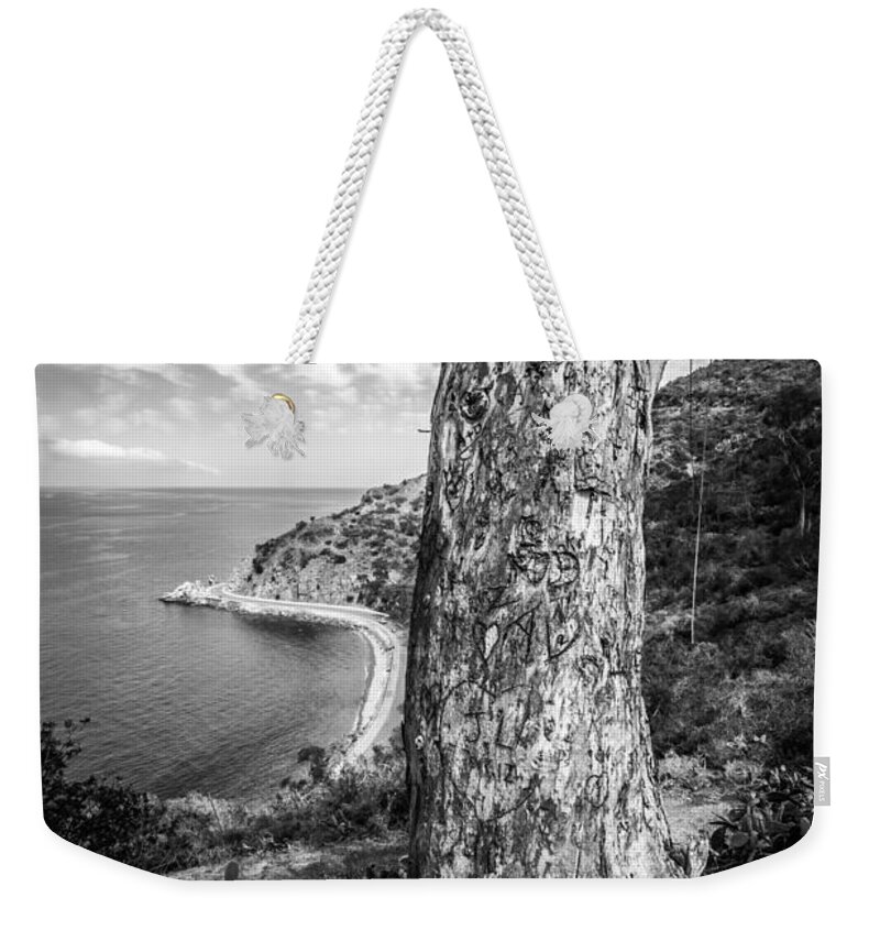 America Weekender Tote Bag featuring the photograph Catalina Island Lover's Cove Tree in Black and White by Paul Velgos