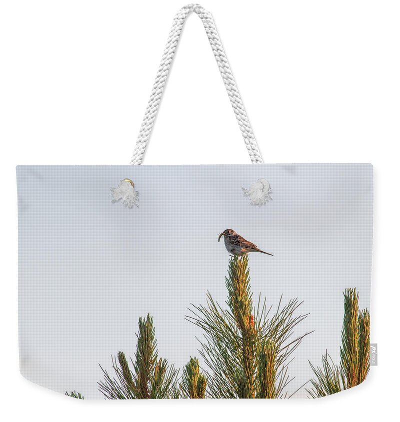 Avian Weekender Tote Bag featuring the photograph Catch of the Day by Alana Thrower