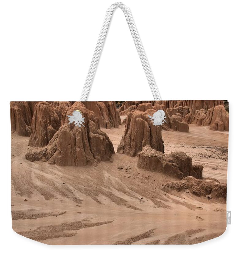 Cathedral Gorge Weekender Tote Bag featuring the photograph Cathedral Gorge Towers Portrait by Adam Jewell