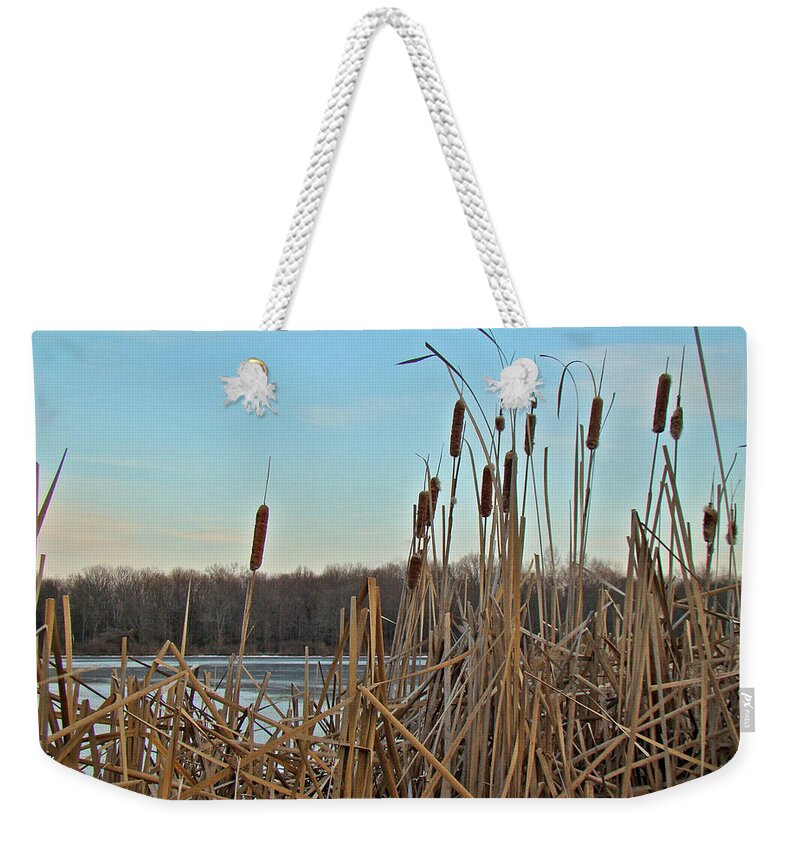 Cattails Weekender Tote Bag featuring the photograph Cattails at Skymount Pond PA by Carol Senske