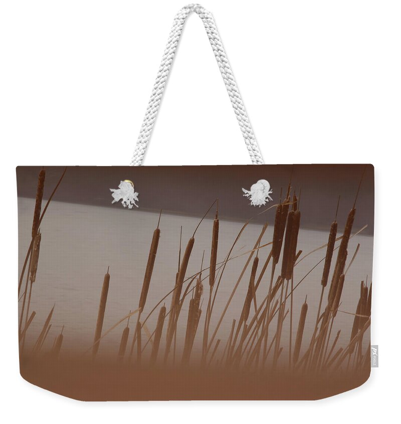 Landscape Weekender Tote Bag featuring the photograph Cattails by David Bigelow
