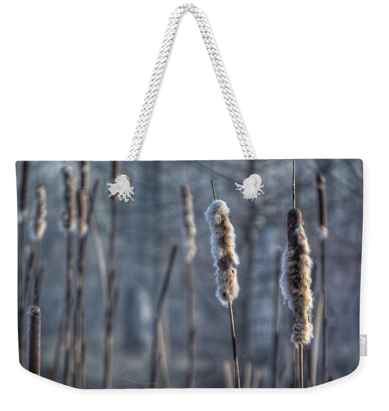 Cattails Weekender Tote Bag featuring the photograph Cattails in the Winter by Sumoflam Photography
