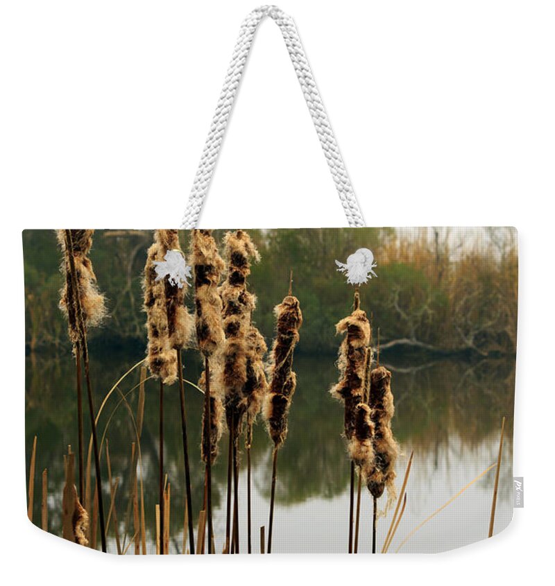 Cattails Weekender Tote Bag featuring the photograph Cattails by Travis Rogers