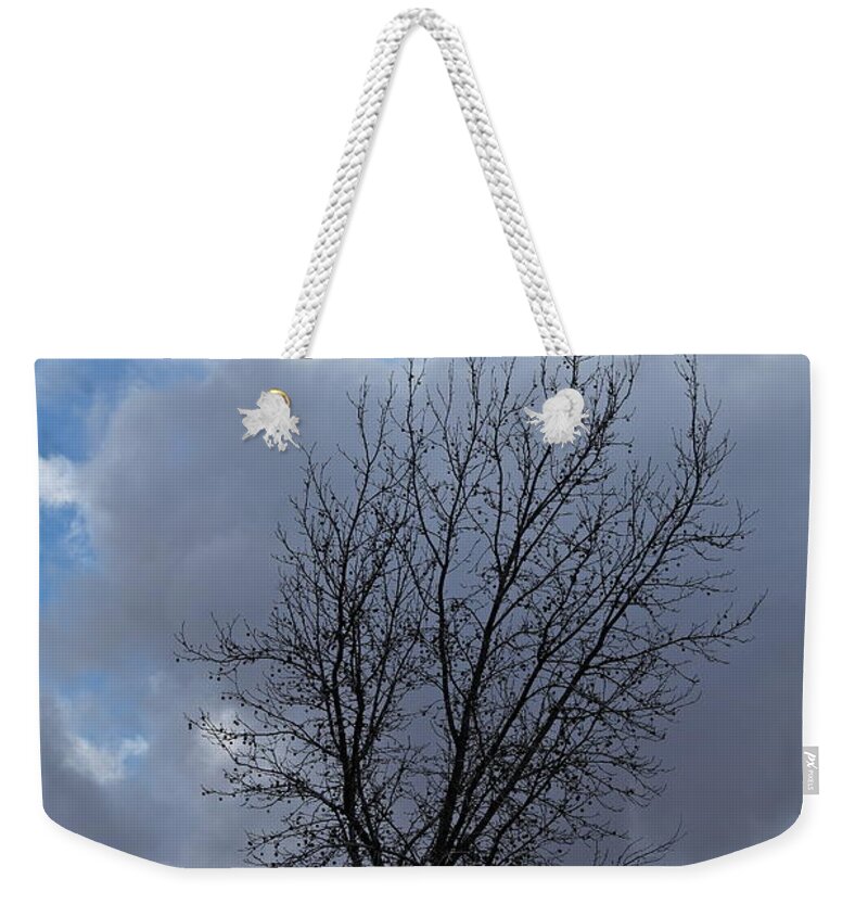 Landscape Weekender Tote Bag featuring the photograph Caught Between the Storms by Michele Myers