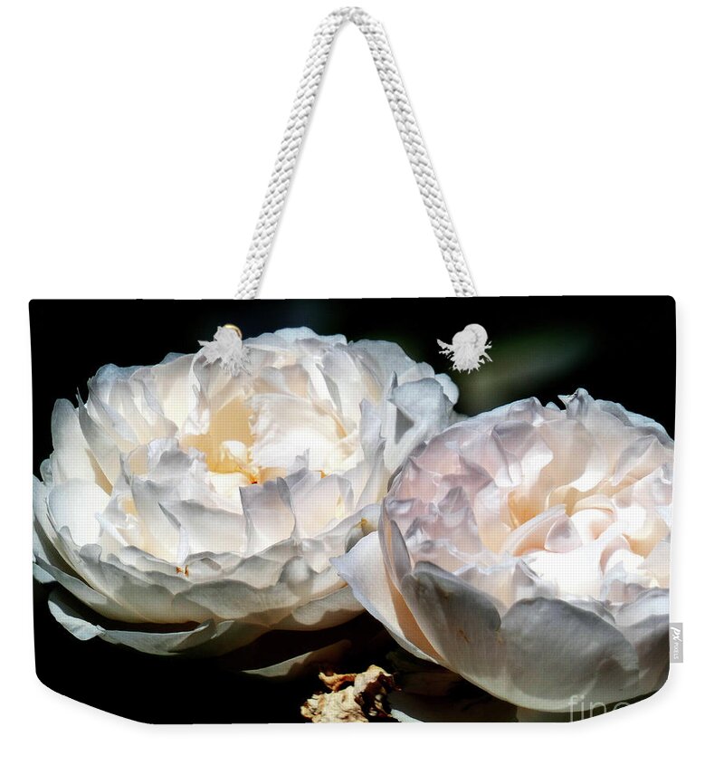 Rose Weekender Tote Bag featuring the photograph Caught the Sun by Humphrey Isselt