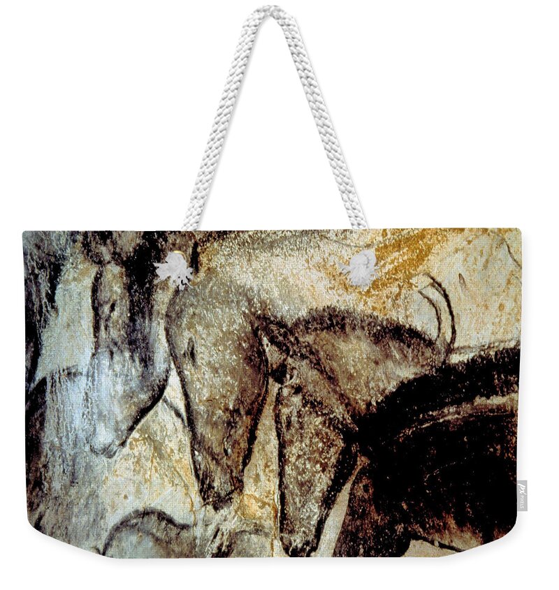 Cave Art Weekender Tote Bag featuring the photograph Cave Painting 4 by Andrew Fare