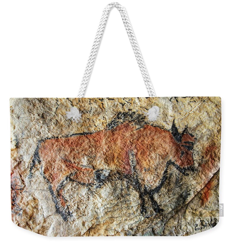 Bull Weekender Tote Bag featuring the photograph Cave painting in prehistoric style by Michal Boubin