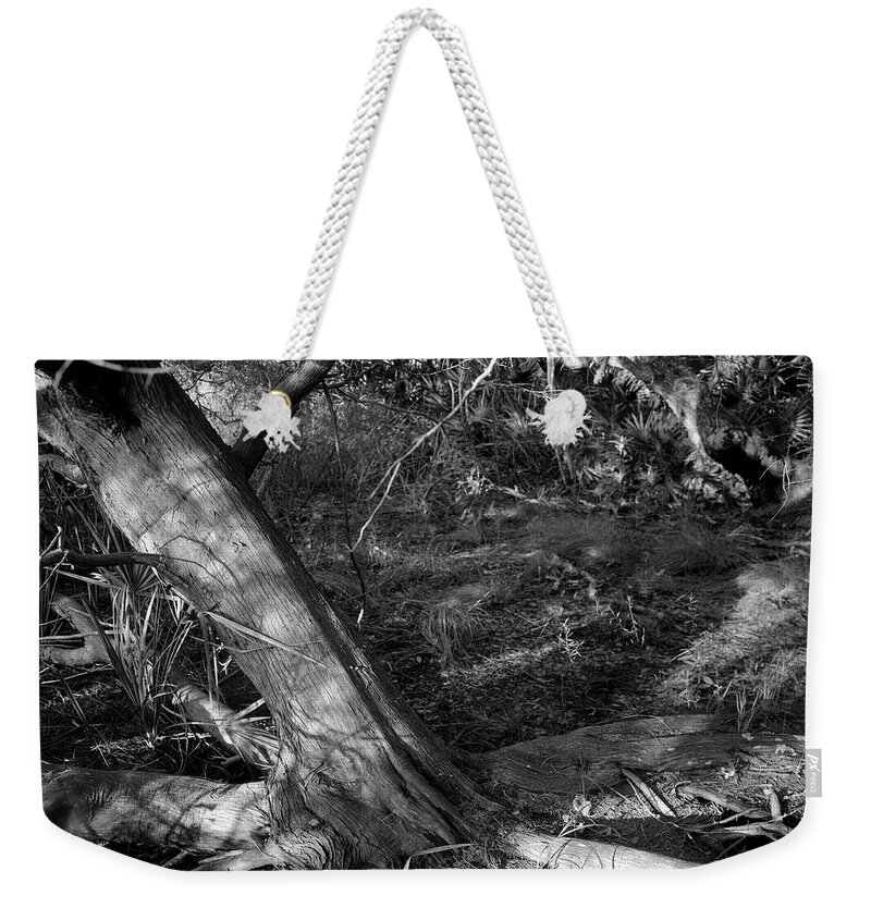 Guana River Weekender Tote Bag featuring the photograph Cedar and swamp by John Simmons