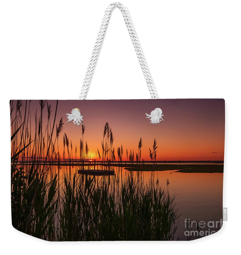 Docks Weekender Tote Bag featuring the photograph Cedar Beach Sunset in the Reeds by Alissa Beth Photography