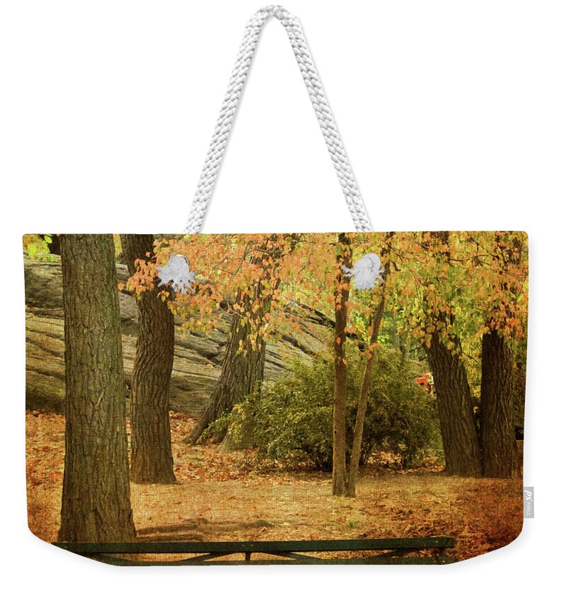 Central Park Weekender Tote Bag featuring the photograph Central Park Benches by Dorothy Lee
