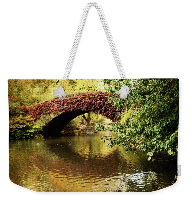 Central Park Weekender Tote Bag featuring the photograph Central Park In Autumn Texture 6 by Dorothy Lee