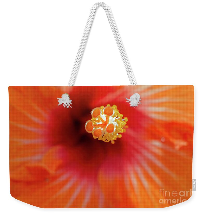 Flower Weekender Tote Bag featuring the photograph Centre of Attention by Karen Lewis
