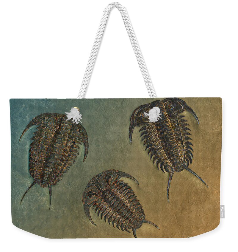 Trilobite Weekender Tote Bag featuring the photograph Ceraurus and Leviceraurus by Melissa A Benson