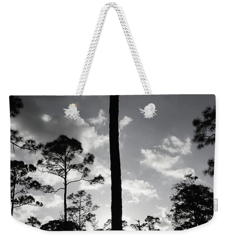 Woods Scene Weekender Tote Bag featuring the photograph Challenges Saying by Sally Weigand