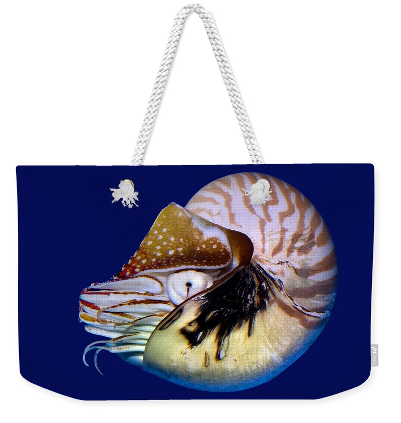 Chambered Nautilus Weekender Tote Bag featuring the photograph Chambered Nautilus in the Deep Blue by Wernher Krutein