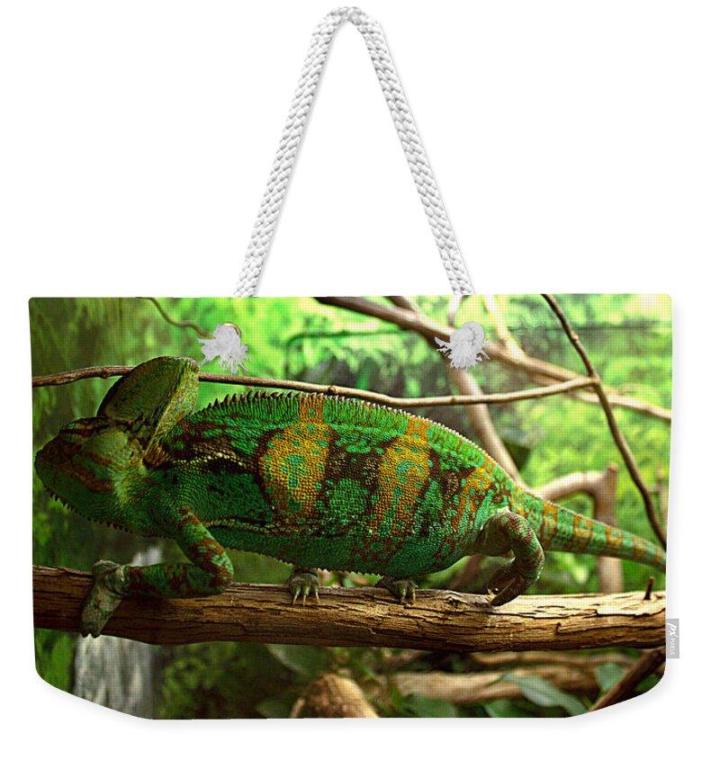 James Smullins Weekender Tote Bag featuring the photograph Chameleon by James Smullins